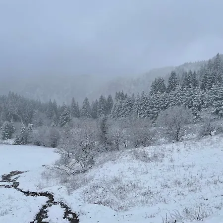 11 - Au Coeur Du Blanc