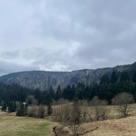 11 - Au Coeur Du Blanc Apartament Orbey